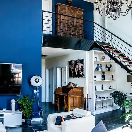 Canis 빌라 티아즈